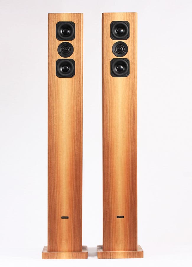 Dayens Tizo Plus — 2-way floorstander